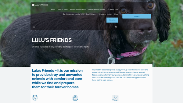 Screenshot of the Lulu's Friends Ltd website