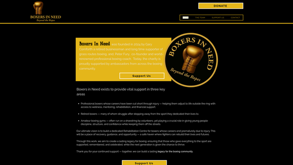 Screenshot of the Boxers In Need website