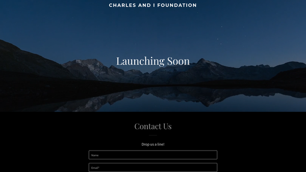 Screenshot of the The Charles Andi Foundation For Education website
