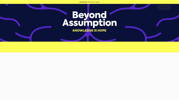 Screenshot of the Beyond Assumption website