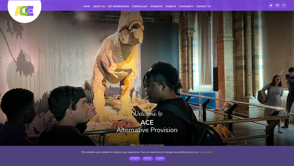 Screenshot of the ACE Academy website