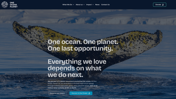 Screenshot of the One Ocean Planet website