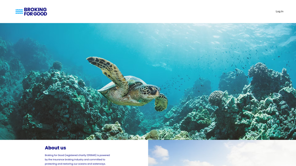 Screenshot of the Broking For Good website