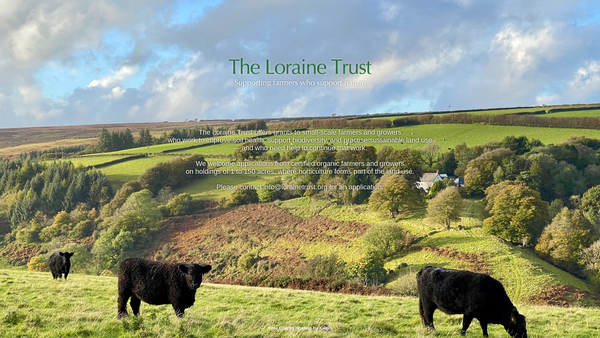 Screenshot of the Loraine Trust website