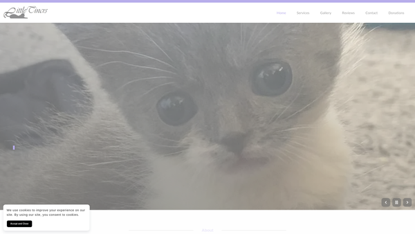 Screenshot of the Little Tincrs website