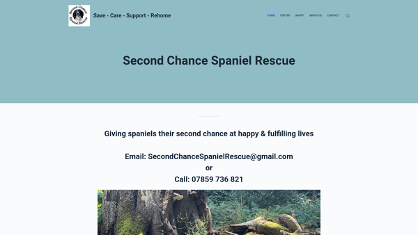 Screenshot of the Second Chance Spaniel Rescue website