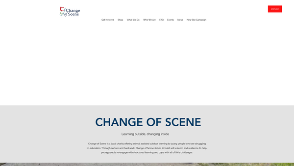 Screenshot of the Change Of Scene Education Services website