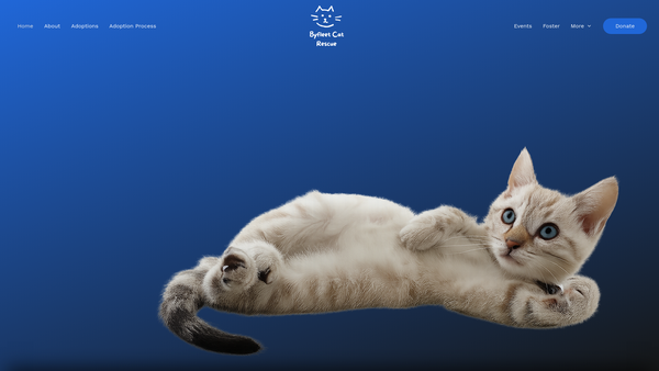 Screenshot of the Byfleet Cat Rescue website