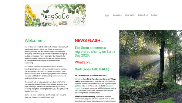 Screenshot of the Eco Soco website