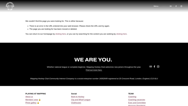 Screenshot of the Wapping Kidds website