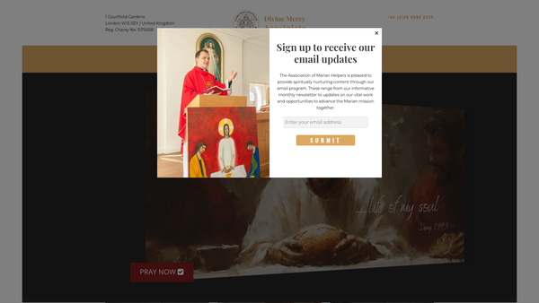 Screenshot of the Marian Fathers Mercy Apostolate website
