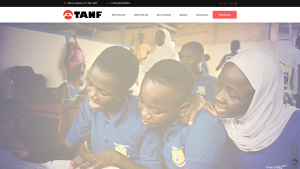 Screenshot of the The Anidaso Nsae Foundation (Tanf UK) website