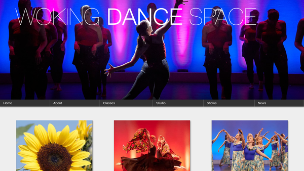 Screenshot of the Woking Dance Space CIO website