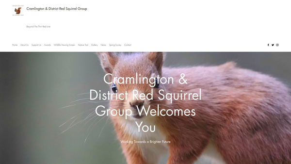 Screenshot of the Cramlington And District Red Squirrel Group website