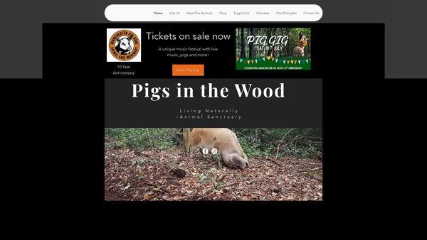 Screenshot of the Pigs In The Wood website