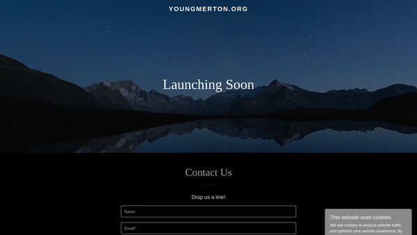 Screenshot of the Partnership For Young Merton website