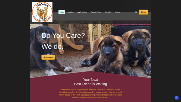 Screenshot of the Tillys Pack website