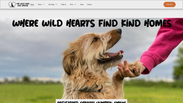 Screenshot of the The Wild Kind Dog Rescue website