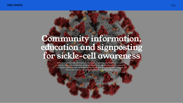 Screenshot of the Fsc Unite Charitable Incorporated Organisation website