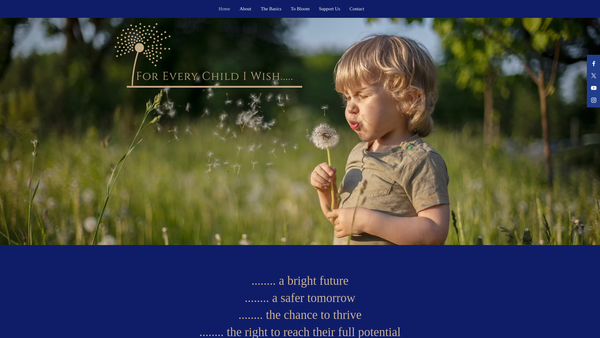 Screenshot of the For Every Child I Wish website