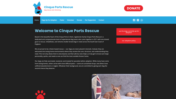 Screenshot of the Cinque Ports Rescue website
