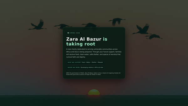 Screenshot of the Zara Al Bazur Foundation website
