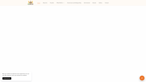 Screenshot of the 1-1 Coco website