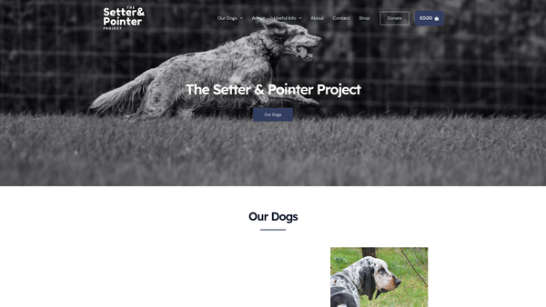 Screenshot of the The Setter And Pointer Project website