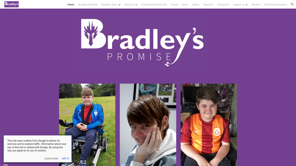 Screenshot of the Bradley's Promise website