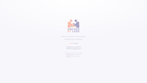 Screenshot of the United By Loss website