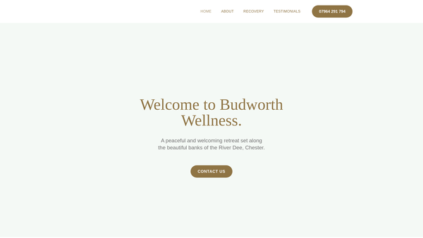 Screenshot of the Budworth CIO website