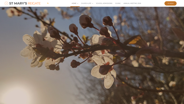 Screenshot of the Lucy Jane Grice Charity website