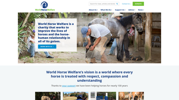 Screenshot of the World Horse Welfare website