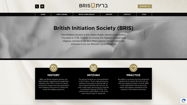 Screenshot of the The Initiation Society website