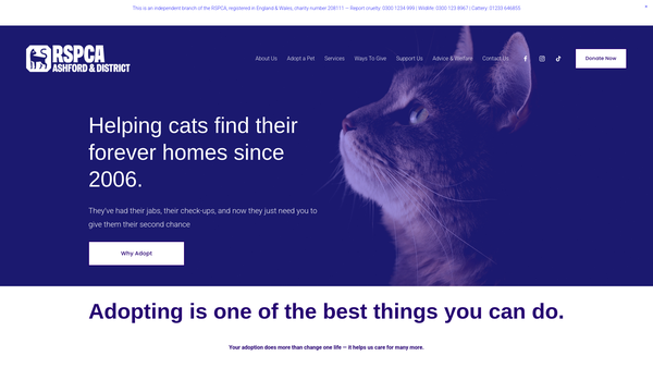 Screenshot of the Royal Society For The Prevention Of Cruelty To Animals Kent, Ashford, Tenterden And District Branch website