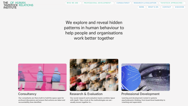 Screenshot of the The Tavistock Institute Of Human Relations website