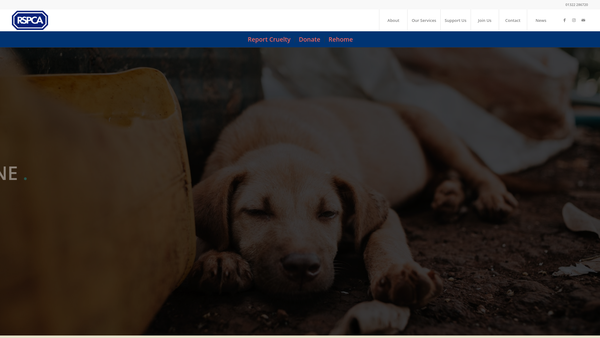 Screenshot of the Royal Society For The Prevention Of Cruelty To Animals Kent North West Branch website