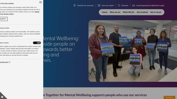 Screenshot of the Together For Mental Wellbeing website