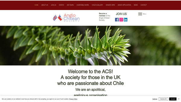 Screenshot of the The Anglo Chilean Society website