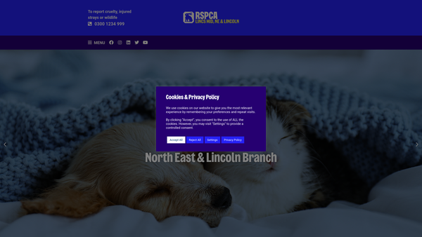 Screenshot of the RSPCA Lincolnshire Mid, North East & Lincoln Branch website