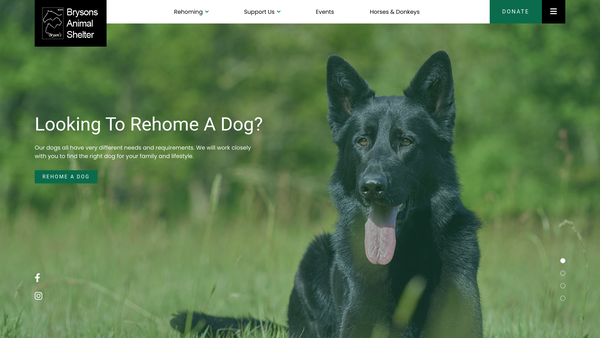 Screenshot of the The Northern Counties Horses And Smaller Animals Protection Society website