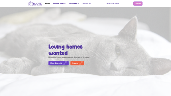 Screenshot of the The Boote Home For Cats website
