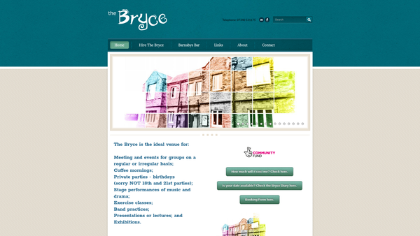 Screenshot of the The Bryce Institute website