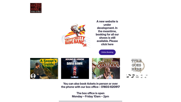 Screenshot of the Maddermarket Theatre Trust Limited website