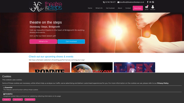 Screenshot of the The Theatre On The Steps Limited website