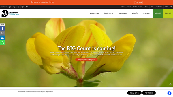 Screenshot of the Somerset Wildlife Trust website