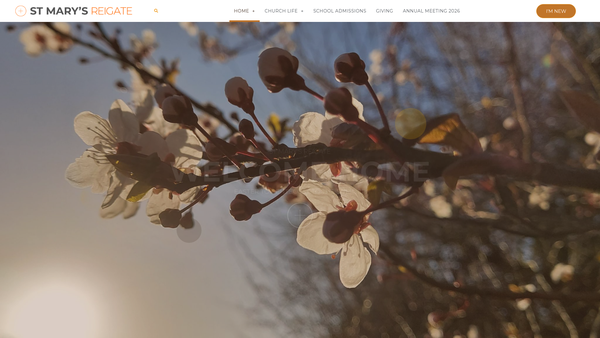 Screenshot of the Charity Of Francis Maseres website