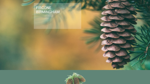 Screenshot of the Birmingham Retirement Council website