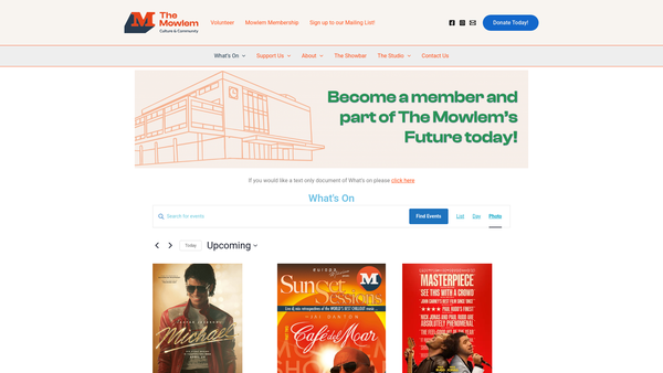 Screenshot of the The Mowlem Institute website