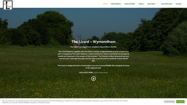 Screenshot of the The Lizard website